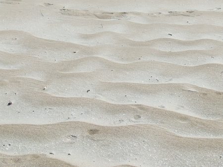 Sable Plage Texture Macro Arrière Plan