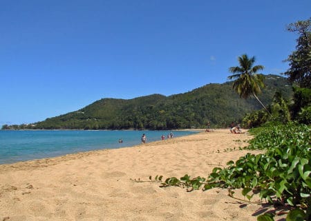Plage du département outre mer de Guadeloupe