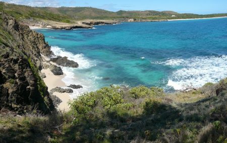 Crique dans le département de Martinique