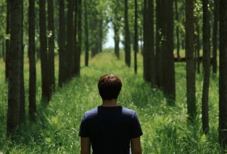 environnement foret