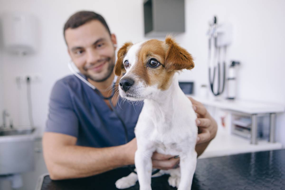 homme avec un chien