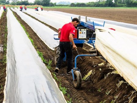 chef agriculture