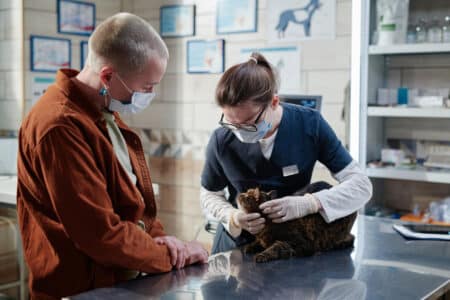 etudiante en master veterinaire a porto