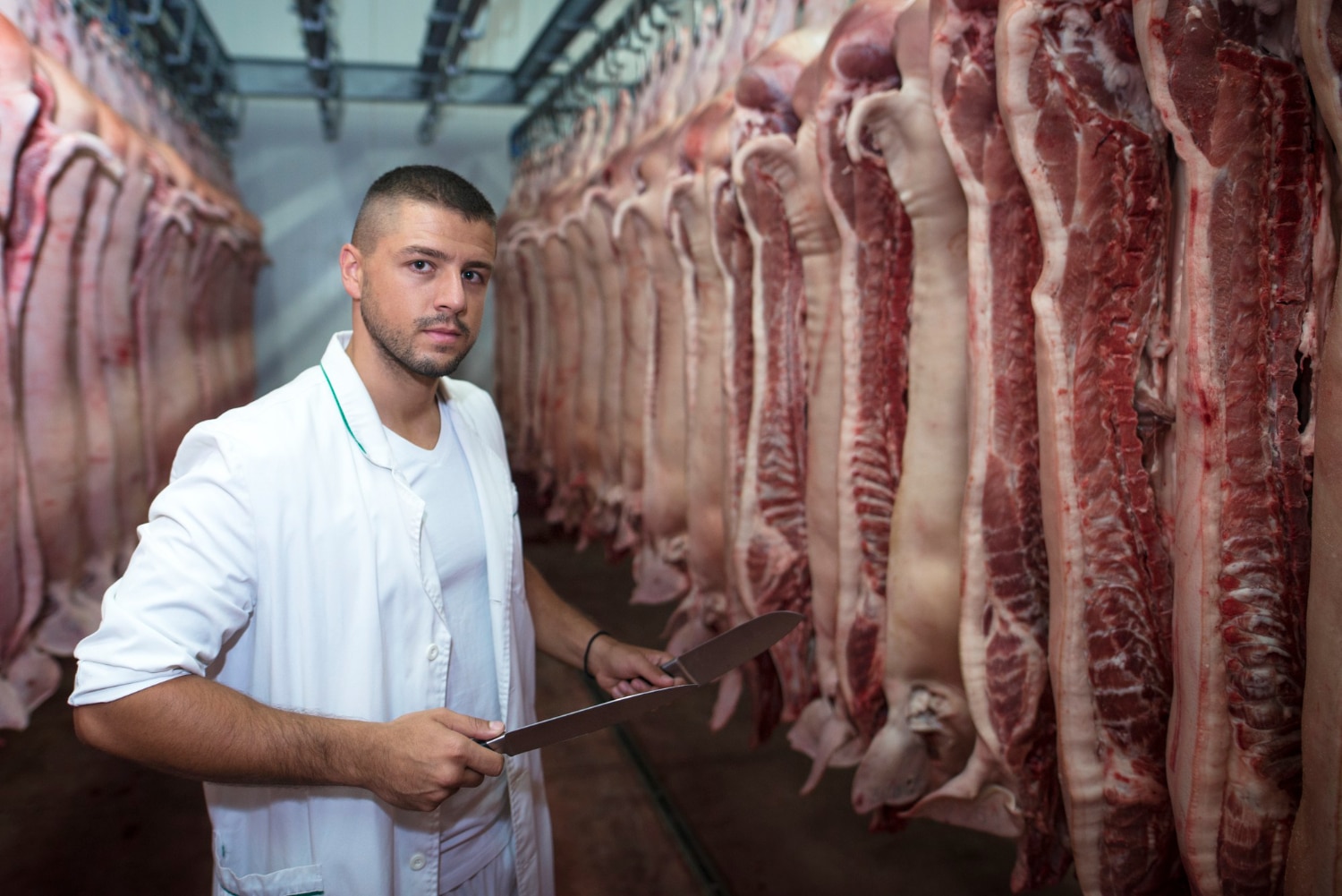 travailleur alimentation industrielle manipulant viande crue fraiche dans abattoir preparation viande pour marche