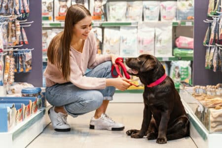 vente animalerie