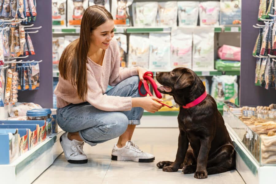 vente animalerie