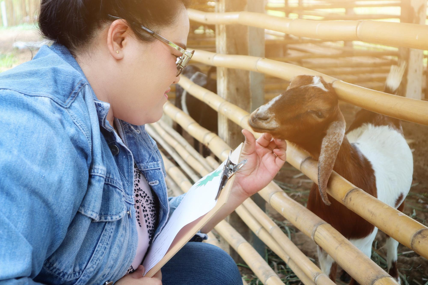 travailler avec les animaux